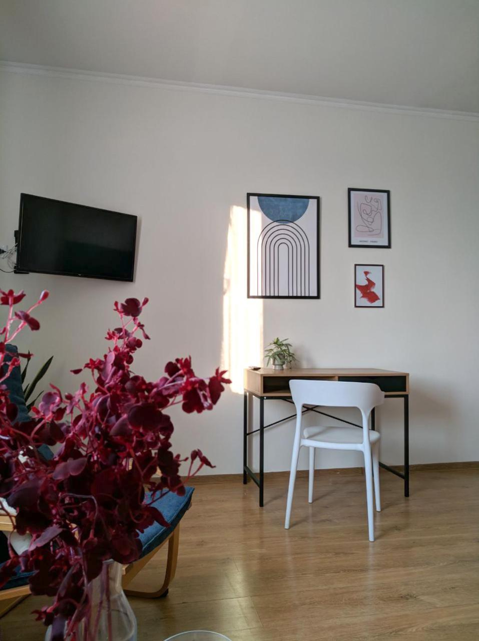Best Apartment In The Center มุกาเชเว ภายนอก รูปภาพ